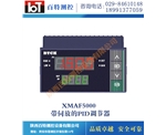 XMAF5000带伺放的PID调节器